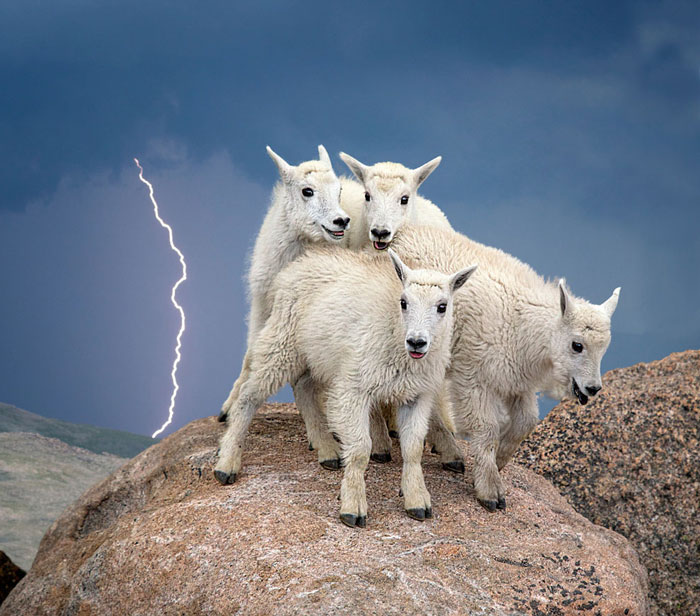 18 Of The Best Wilderness Photos From The Smithsonian’s “Wilderness Forever” Photo Contest