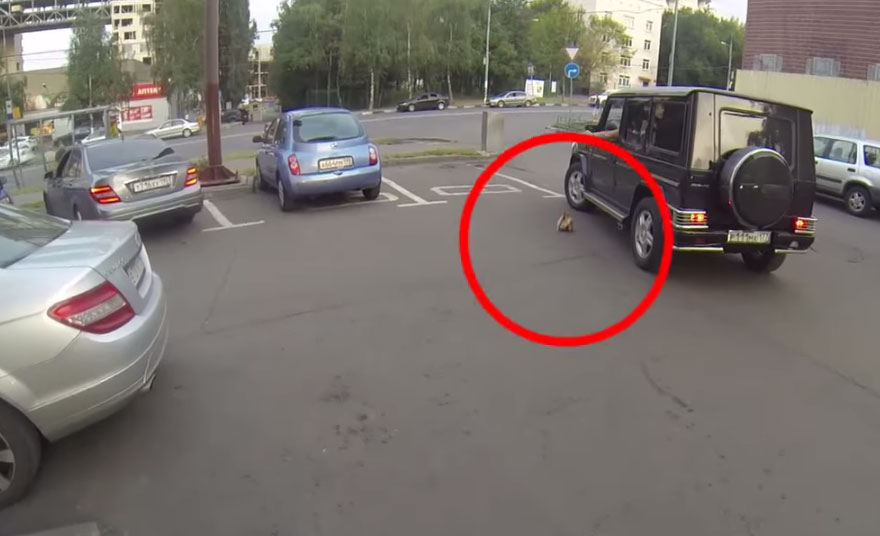 anonymous-motorcyclist-fights-litterers-4