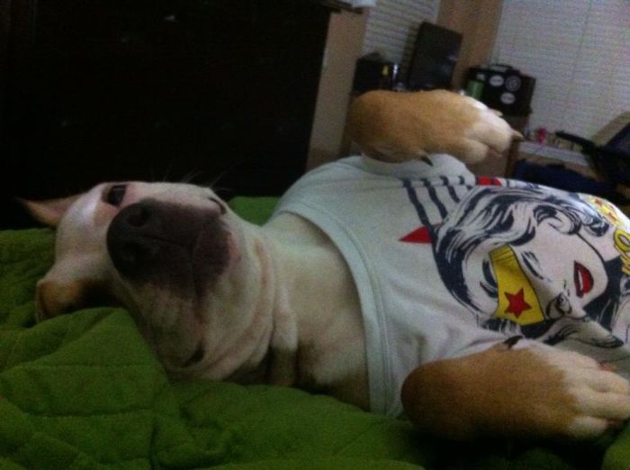 Hey Boys... Whatcha Doing Later ;)