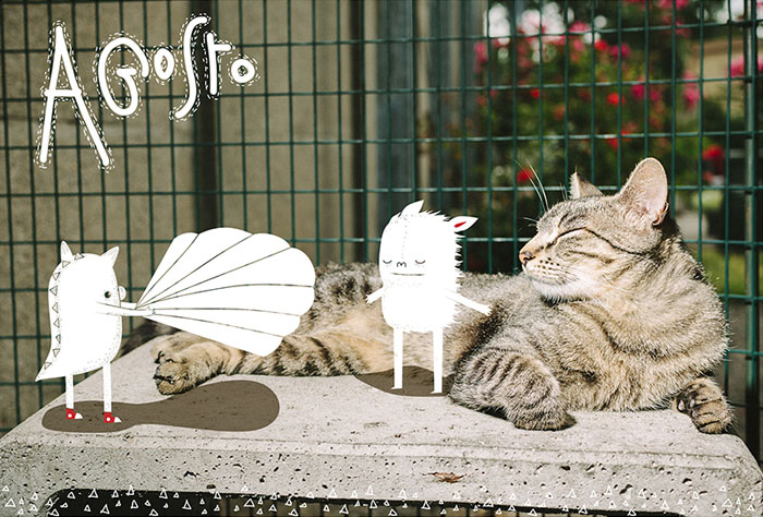 It’s A Cat’s World: I Made A Calendar For Those Who Like Little Furry Things (Except For Fur Coats)