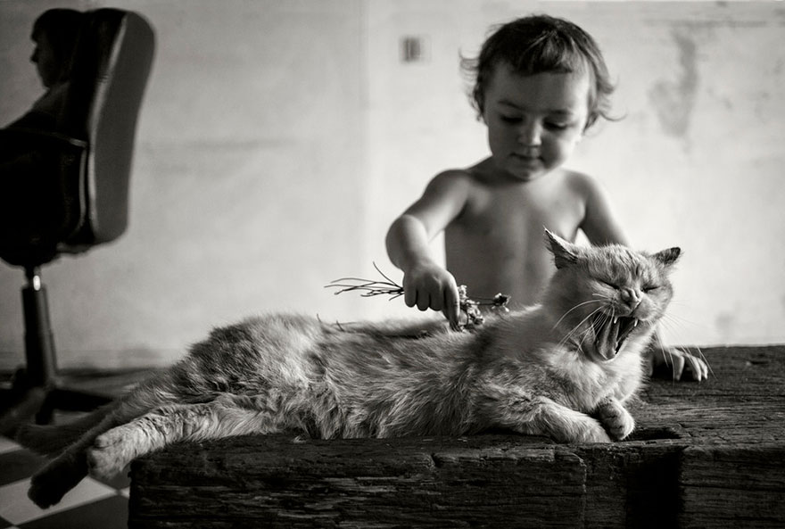 Child And His Cat