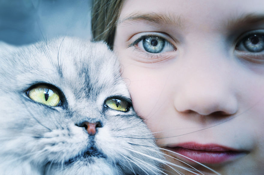 Child And His Cat