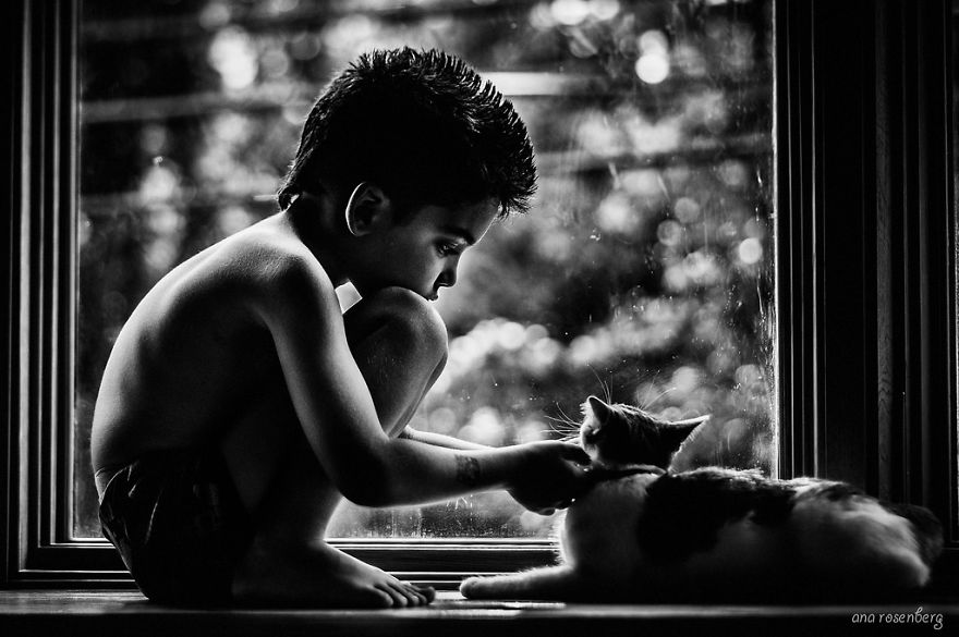Child And His Cat