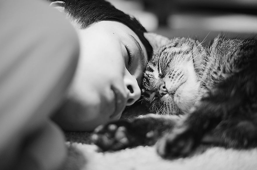 Child And His Cat