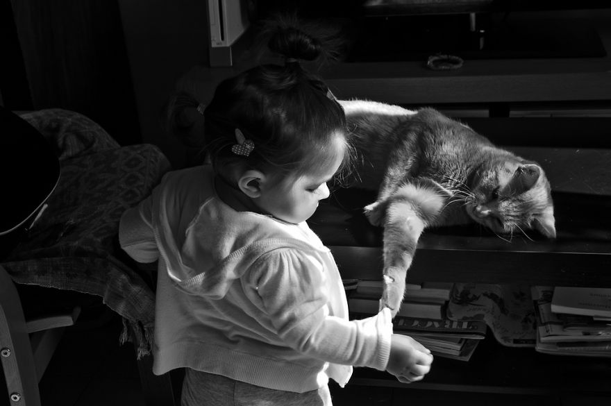 Child And His Cat