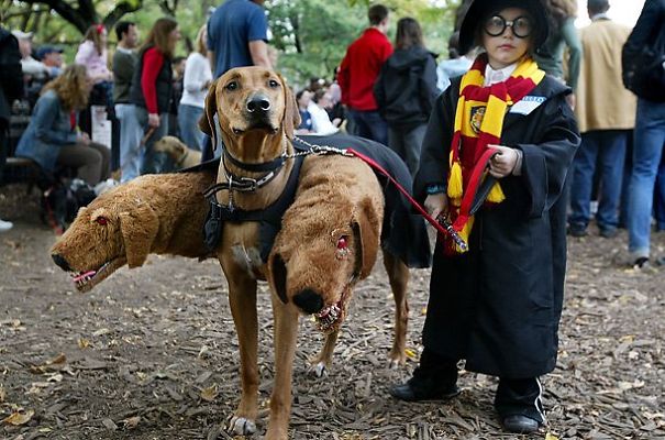 Child in Halloween costume with dog dressed as two-headed creature and crowd in background outdoors.