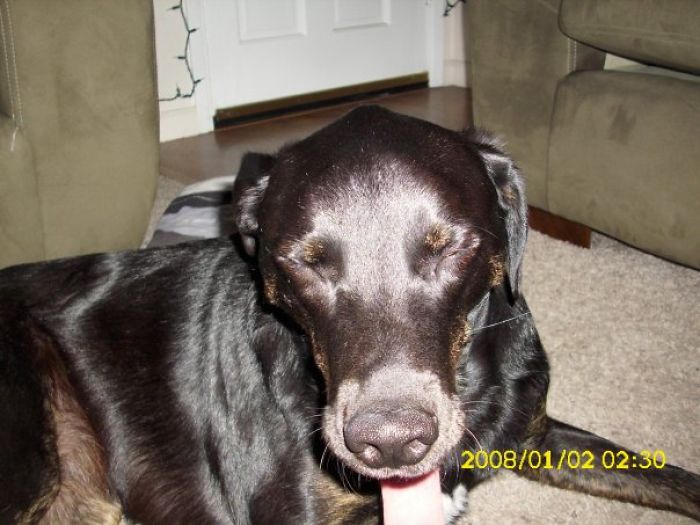 Mazey Happy With Her Christmas Presents