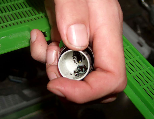 cutoms-confiscated-items-9 cutoms-confiscated-items-9