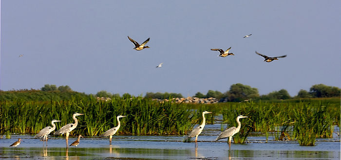 Delta Dunarii, Romania