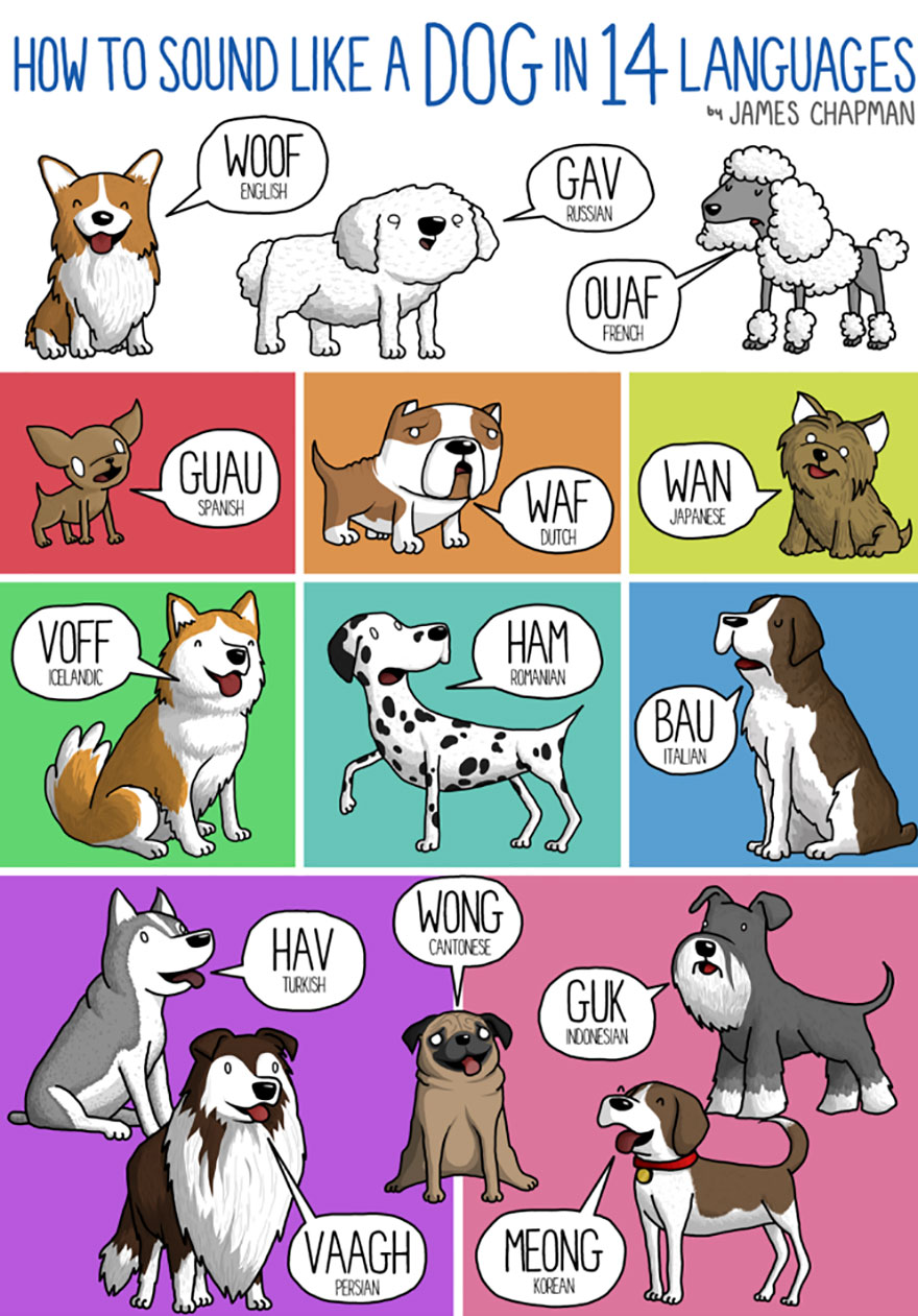 different-languages-expressions-illustrations-james-chapman-24 different-languages-expressions-illustrations-james-chapman-24