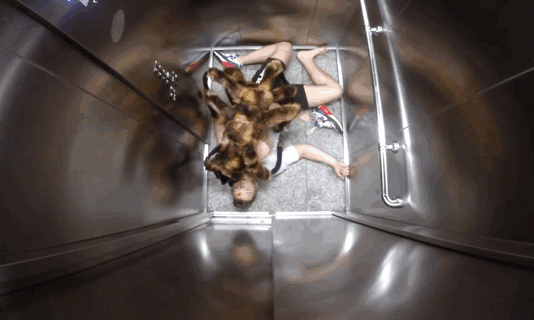 Dog dressed as a giant spider with multiple legs pranksters use to scare people inside a metal elevator in Poland. Dog dressed as a giant spider with multiple legs pranksters use to scare people inside a metal elevator in Poland.