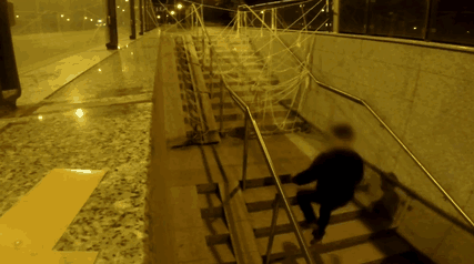 Dog dressed as a giant spider prank on stairs at night in Poland, scaring a passerby in an urban setting. Dog dressed as a giant spider prank on stairs at night in Poland, scaring a passerby in an urban setting.