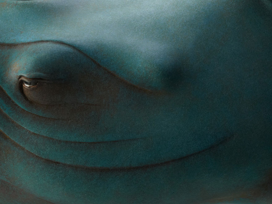 dreams-animal-sculptures-surreal-wang-ruilin-6 dreams-animal-sculptures-surreal-wang-ruilin-6