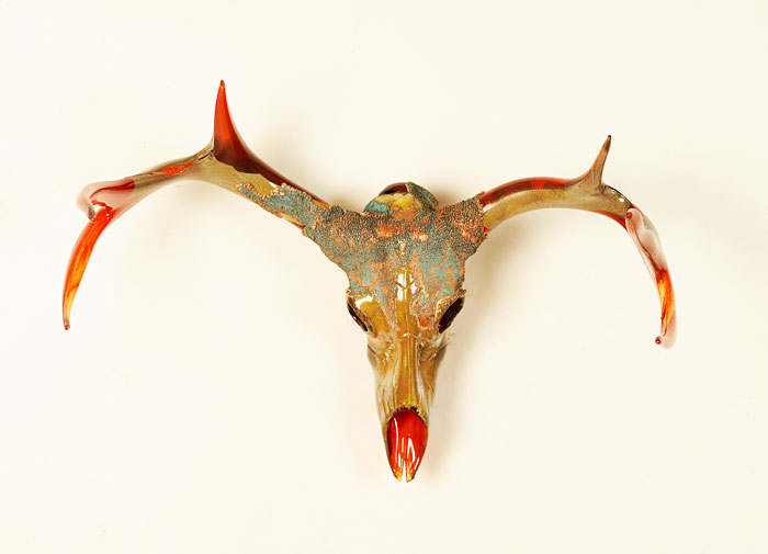 glass-taxidermy-grant-garmezy-glass-15 glass-taxidermy-grant-garmezy-glass-15