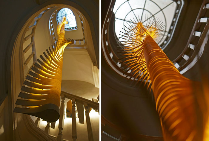 Helix Light In Maple Wood