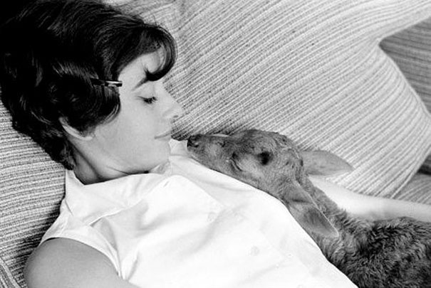historic-photography-rare-audrey-hepburn-11 historic-photography-rare-audrey-hepburn-11