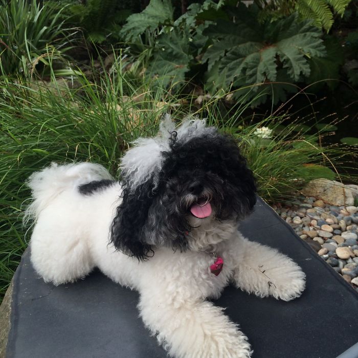 She Puts Smiles On Our Faces, Too!