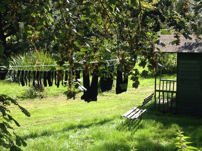 Preston Uk (marjo De Maat, Netherlands)