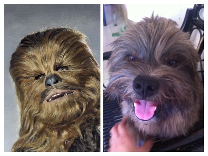 Chewbacca Max