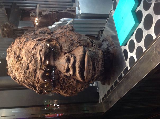 I Photographed These In Paris 2013.