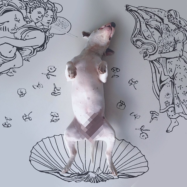 jimmy-choo-bull-terrier-illustrations-rafael-mantesso-12 jimmy-choo-bull-terrier-illustrations-rafael-mantesso-12