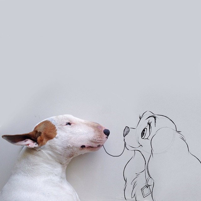 jimmy-choo-bull-terrier-illustrations-rafael-mantesso-5 jimmy-choo-bull-terrier-illustrations-rafael-mantesso-5