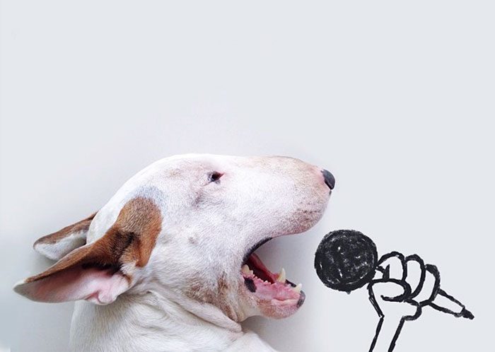 Dog Owner Creates Fun Illustrations With His Bull Terrier