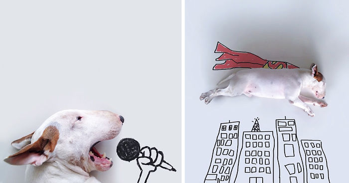 Dog Owner Creates Fun Illustrations With His Bull Terrier