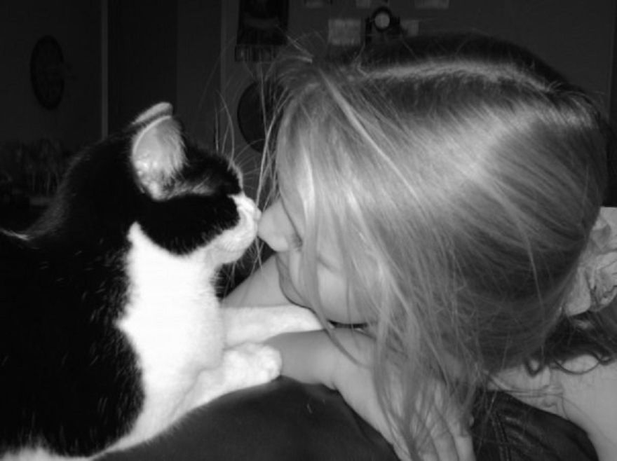 Kisses From Kitty
