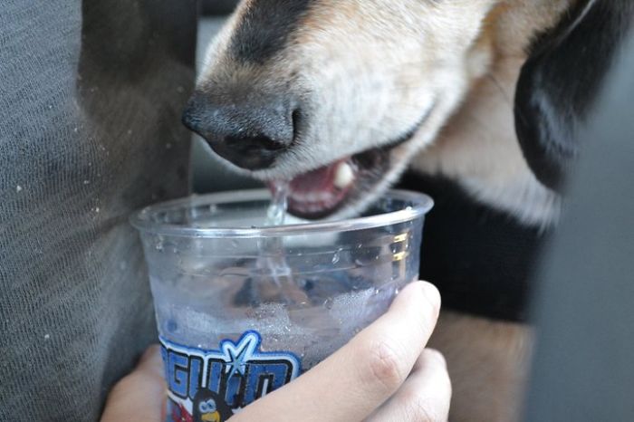 Who Needs Straws? I've Got... Magic Slurping Powers!!!!