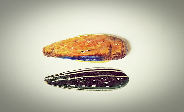 micro-art-paintings-mesut-kul-6 micro-art-paintings-mesut-kul-6