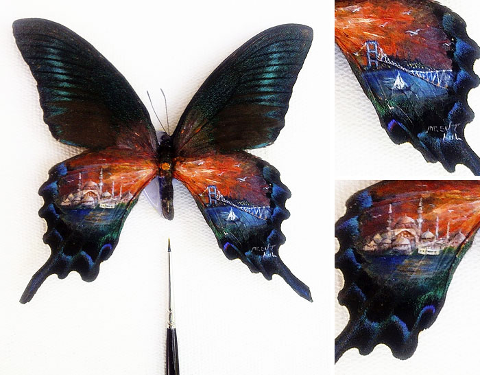 micro-art-paintings-mesut-kul-7 micro-art-paintings-mesut-kul-7