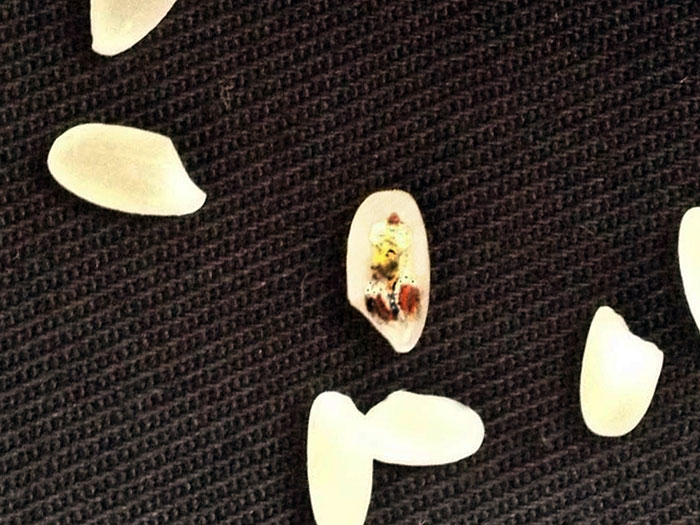 micro-art-paintings-mesut-kul-9 micro-art-paintings-mesut-kul-9