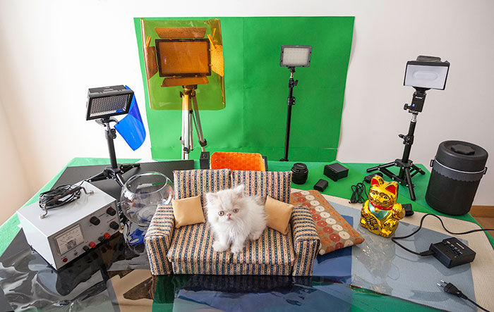 napoleon-cat-calendar-jesus-segura-2 napoleon-cat-calendar-jesus-segura-2