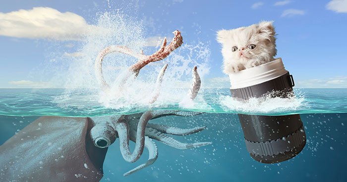 napoleon-cat-calendar-jesus-segura-6 napoleon-cat-calendar-jesus-segura-6