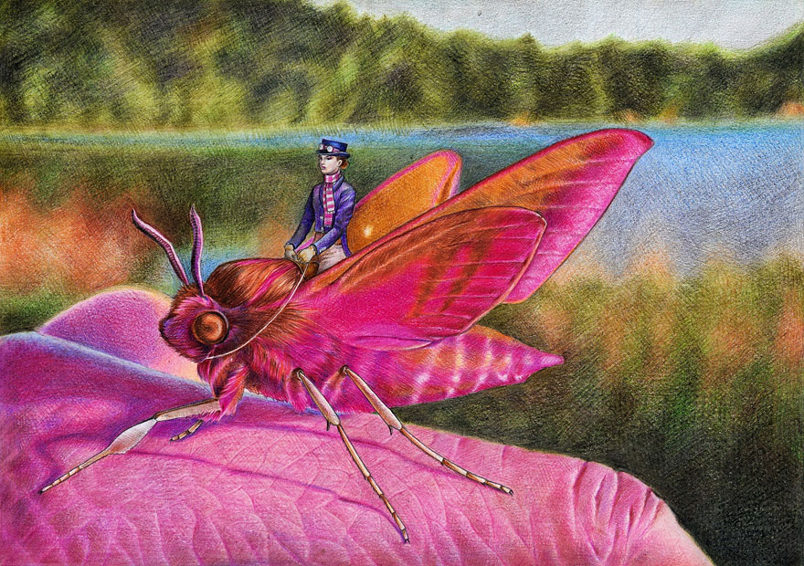 pencil-drawings-monika-jasnauskaite-2 pencil-drawings-monika-jasnauskaite-2