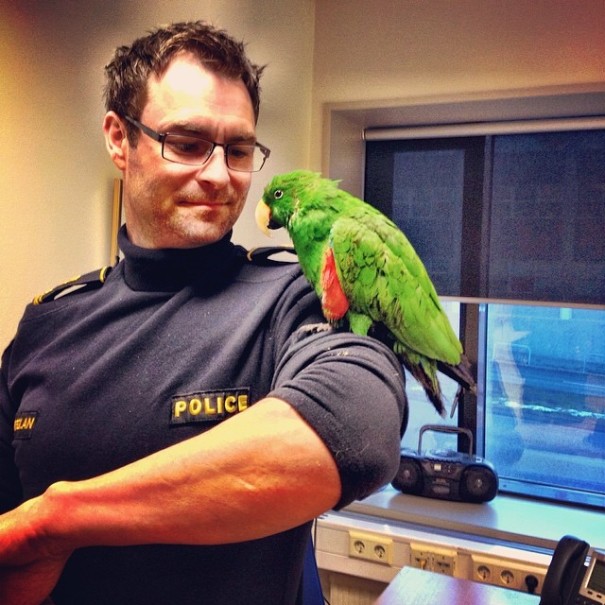 police-instagram-logreglan-reykjavik-iceland-11 police-instagram-logreglan-reykjavik-iceland-11