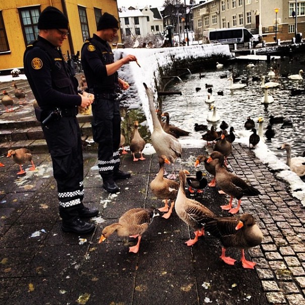police-instagram-logreglan-reykjavik-iceland-8 police-instagram-logreglan-reykjavik-iceland-8
