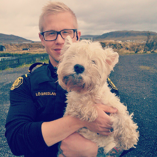 The Reykjavik Police Have An Instagram Full Of Puppies, Kittens And Ice Cream