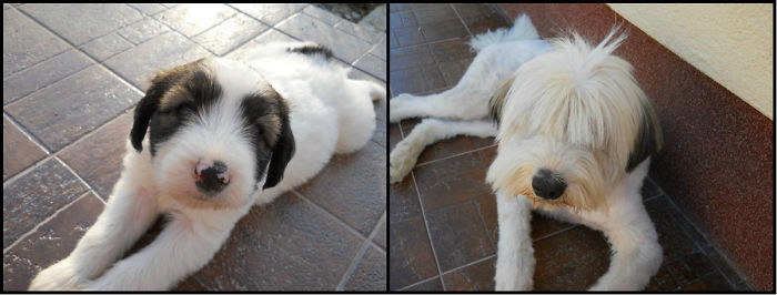 Puky - 2 Years Apart