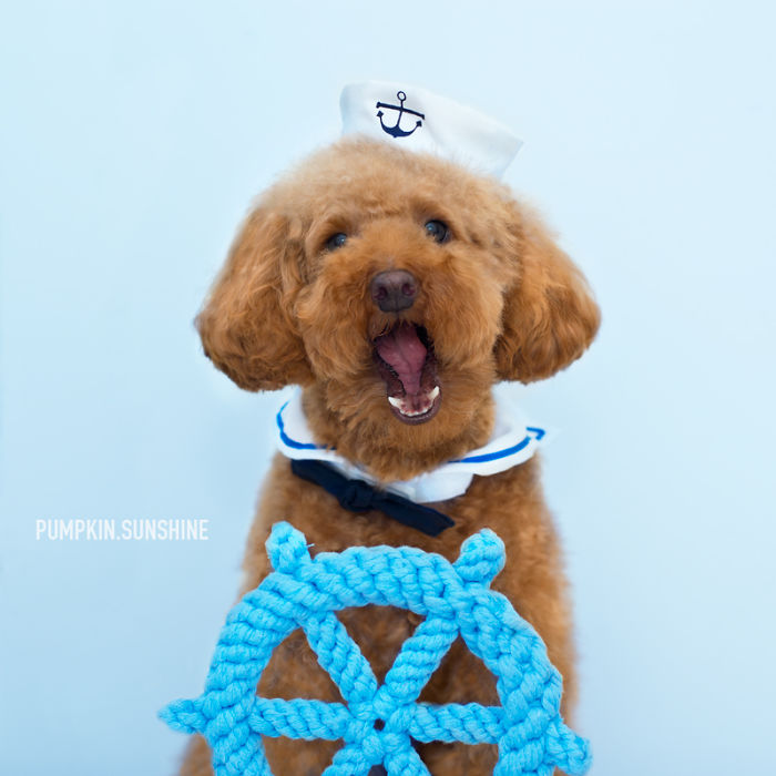 You Can't Buy Happiness But You Can Buy A Boat! (by @pumpkin.sunshine Instagram)