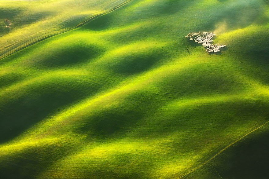 sheep-herds-around-the-world-8 sheep-herds-around-the-world-8