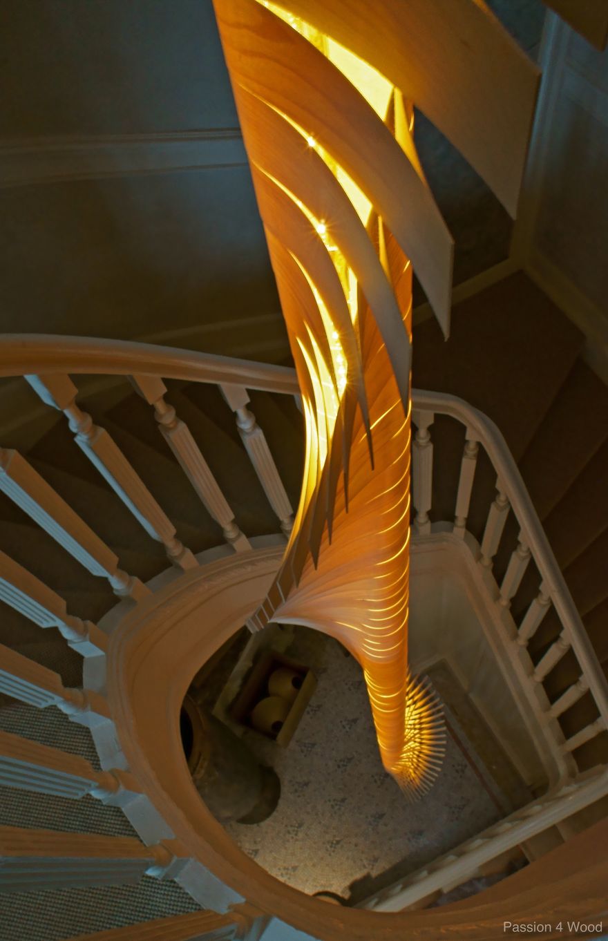 Helix Light In Maple Wood