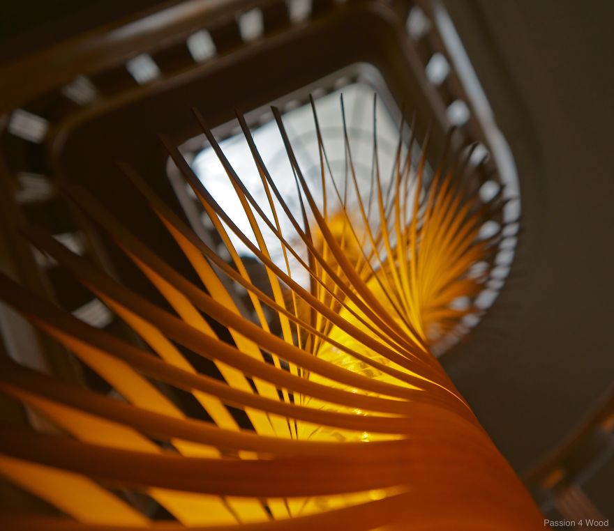 Helix Light In Maple Wood