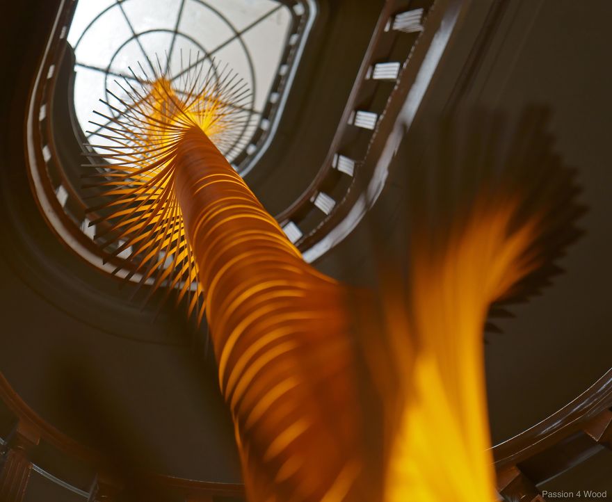 Helix Light In Maple Wood