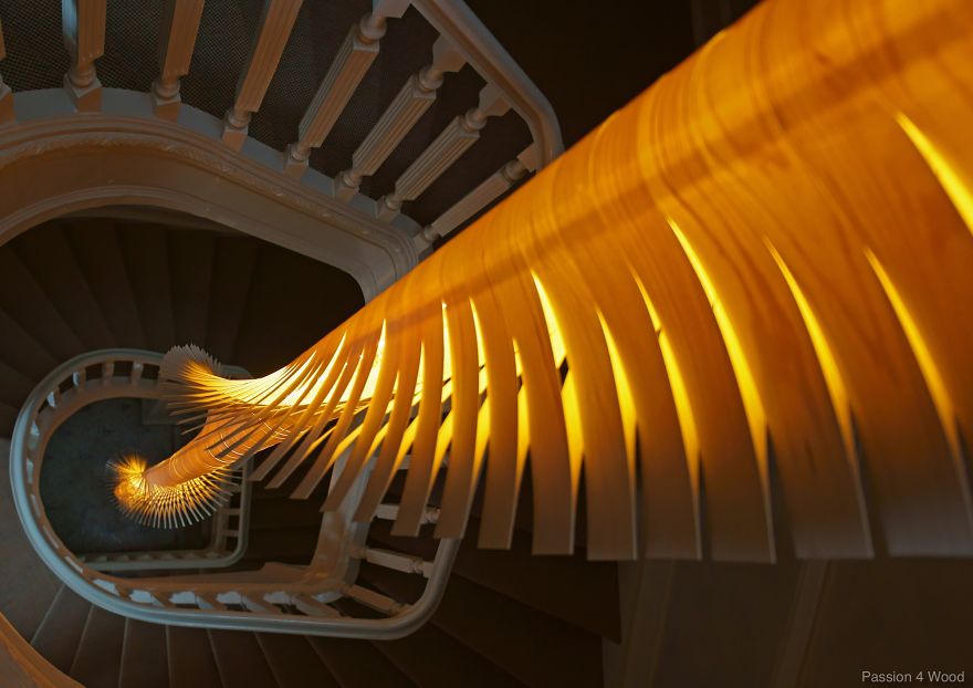 Helix Light In Maple Wood