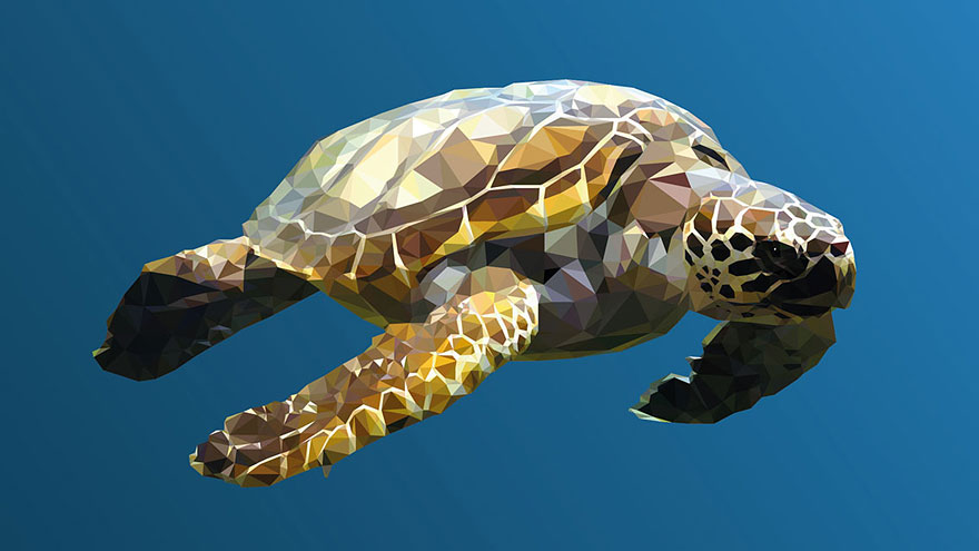 underwater-low-poly-illustrations-mordi-levi-2 underwater-low-poly-illustrations-mordi-levi-2