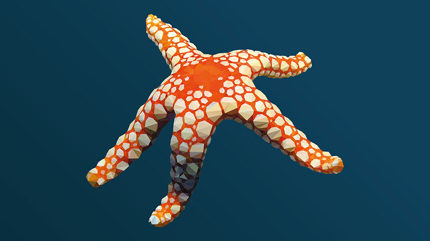 underwater-low-poly-illustrations-mordi-levi-3
