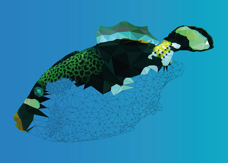 underwater-low-poly-illustrations-mordi-levi-4 underwater-low-poly-illustrations-mordi-levi-4
