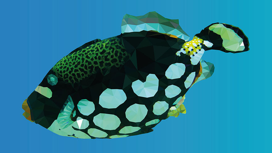 underwater-low-poly-illustrations-mordi-levi-5